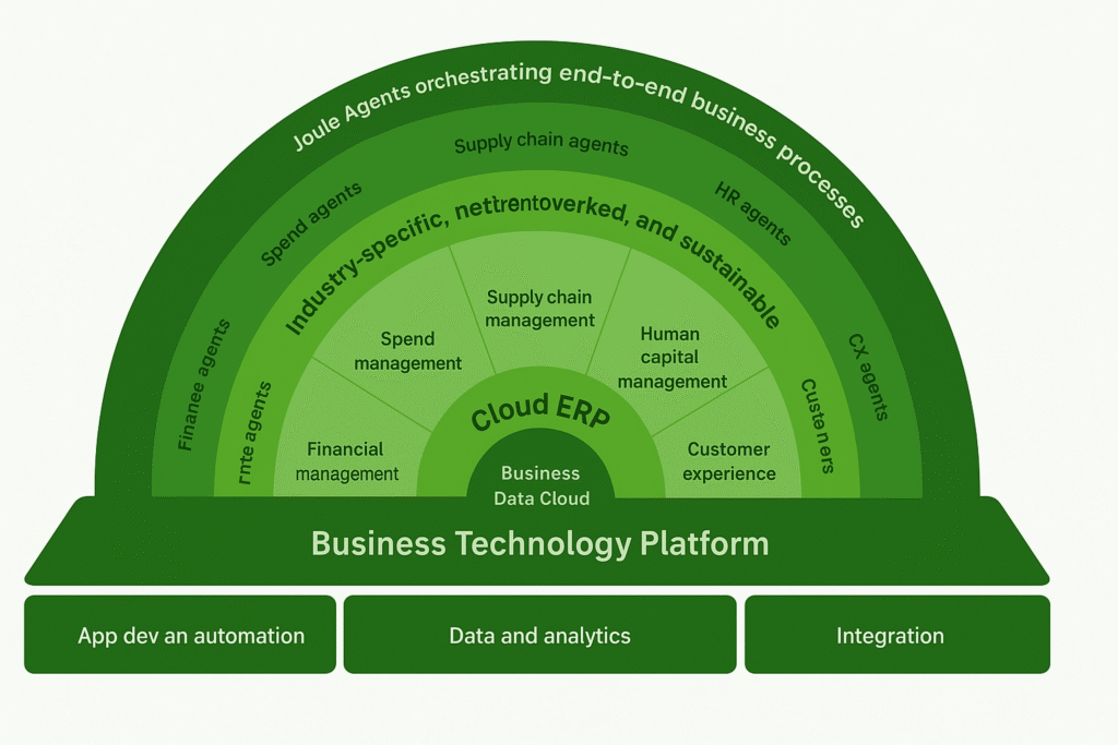 SAP ERP systems